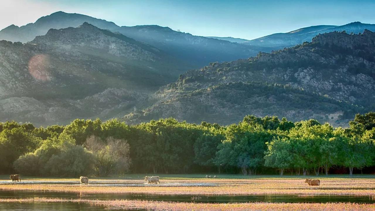 Reserva De La Biosfera De La Cuenca Alta Del Manzanares. Fotografía de Rodrigo Gómez Sanz, Wikimédia Commons