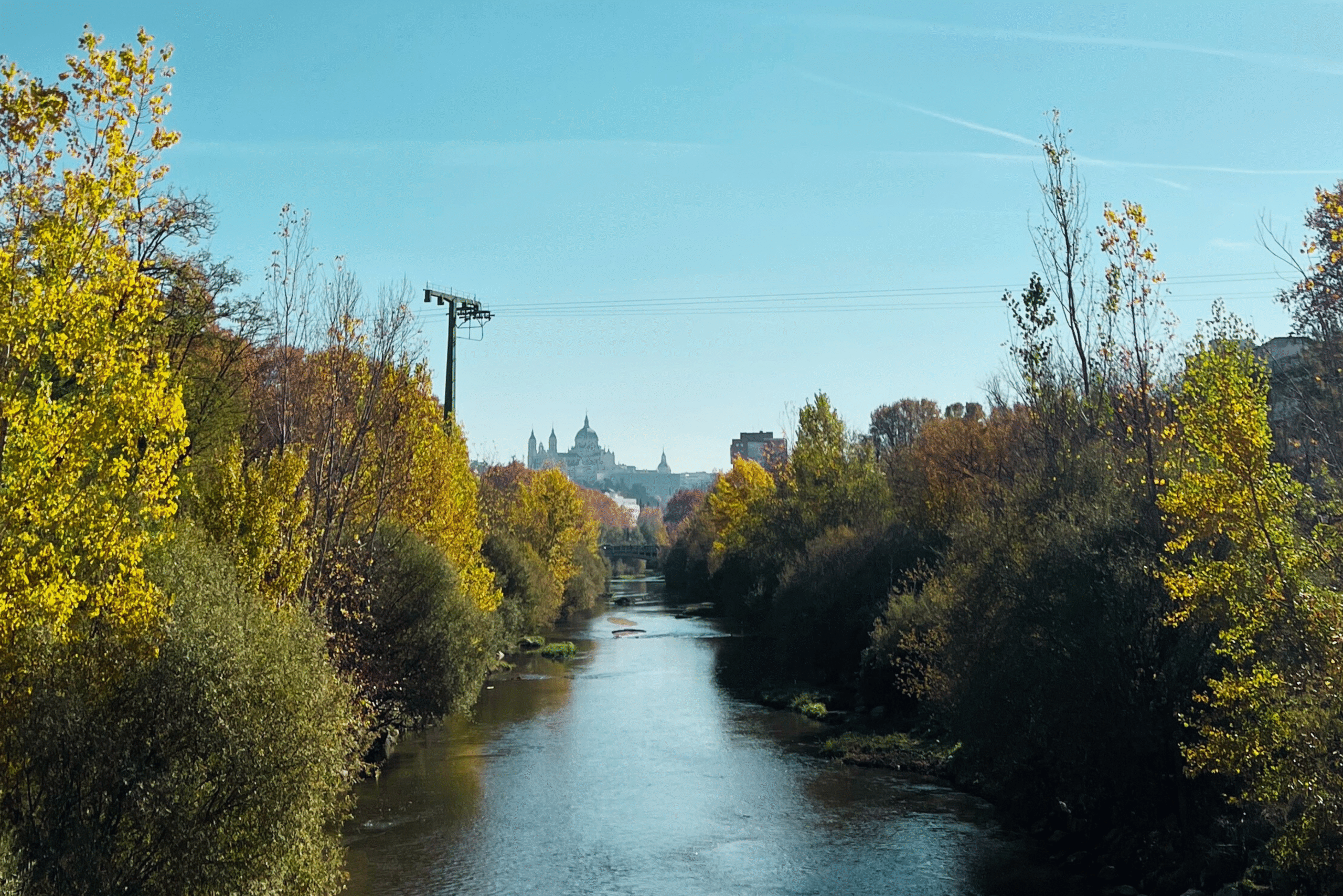 Manzanares Para El Blog