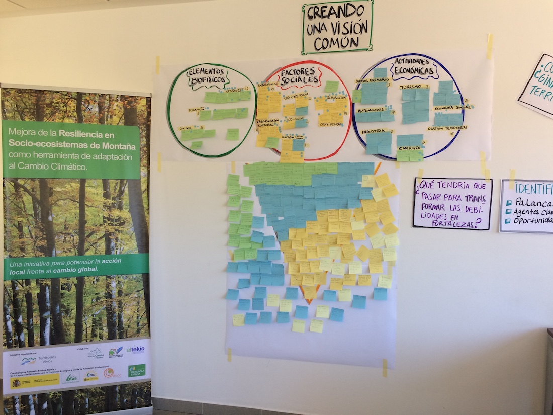 Proceso Participativo Para El Diseño De Iniciativas Comunitarias Que Fortalezcan La Resiliencia Territorial En La Reserva De Biosfera De Ordesa Viñamala, Huesca